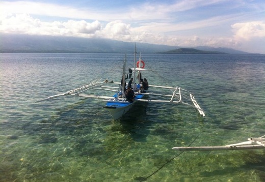 Plongée Philippines 2016