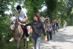 2010 Normandie equitation 45