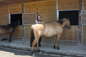 2010 Normandie equitation 51