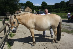2010 Normandie equitation 53