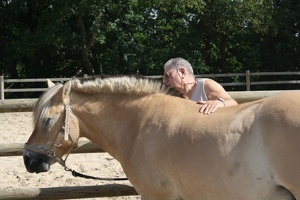 2010 Normandie equitation 58