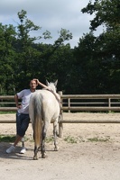 2010 Normandie equitation 60