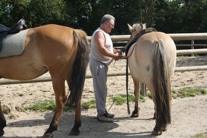 2010 Normandie equitation 61