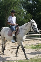 2010 Normandie equitation 64