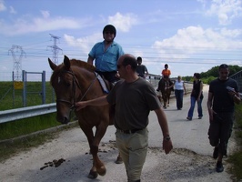 2010 Normandie equitation 76
