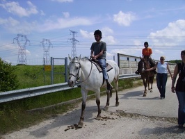 2010 Normandie equitation 77