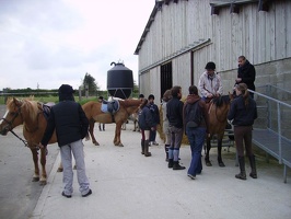2010 Normandie equitation 156