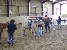 2010 Normandie equitation 160